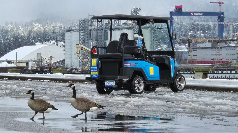 Rear view of a plated HeyYa cart on a snowy waterfront lot, with two Canada geese in the foreground