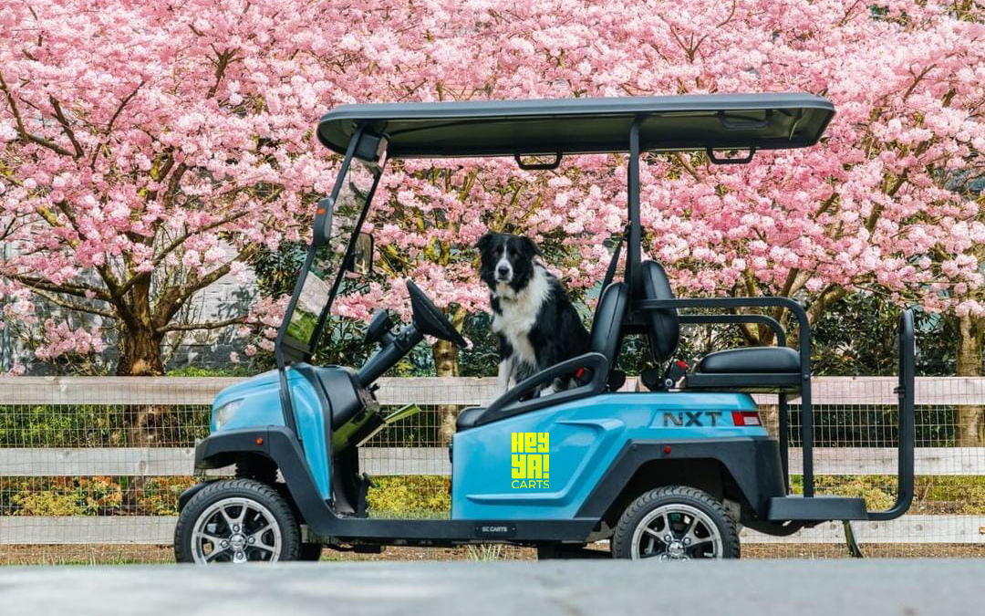 How to See More of Victoria in One Day Without Rushing