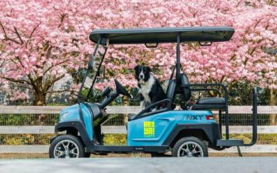 A Hidden Gem Way to Explore Victoria BC Most Visitors Don’t Know About