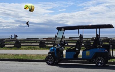 Beacon Hill Park with Kids (Easy, Fun & Flexible Ways to Explore Victoria)