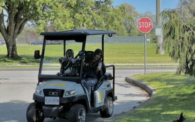 Fun and Unique Date Ideas in Victoria BC (That Aren’t the Usual)