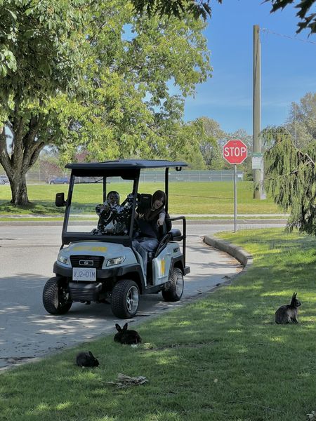 448064170_122180445812133659_4702607755962302988_n