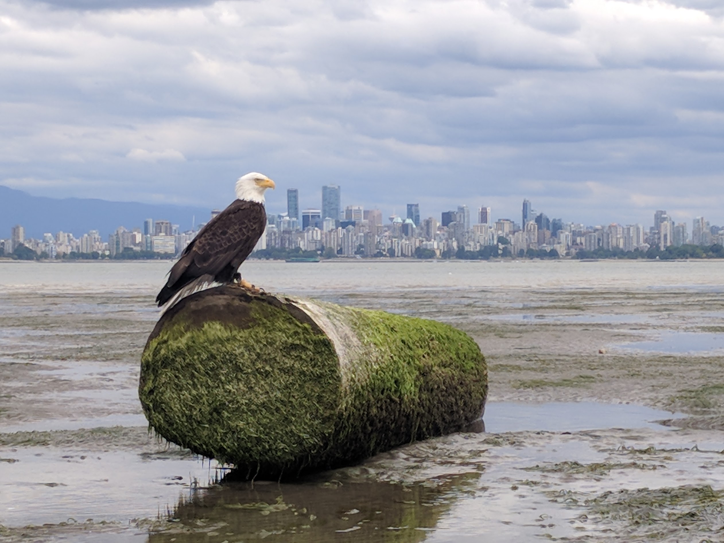 Scenic Vancouver stop during a one-day exploration