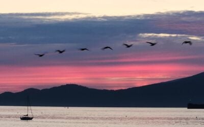 How to See More of Vancouver in One Day Without Rushing