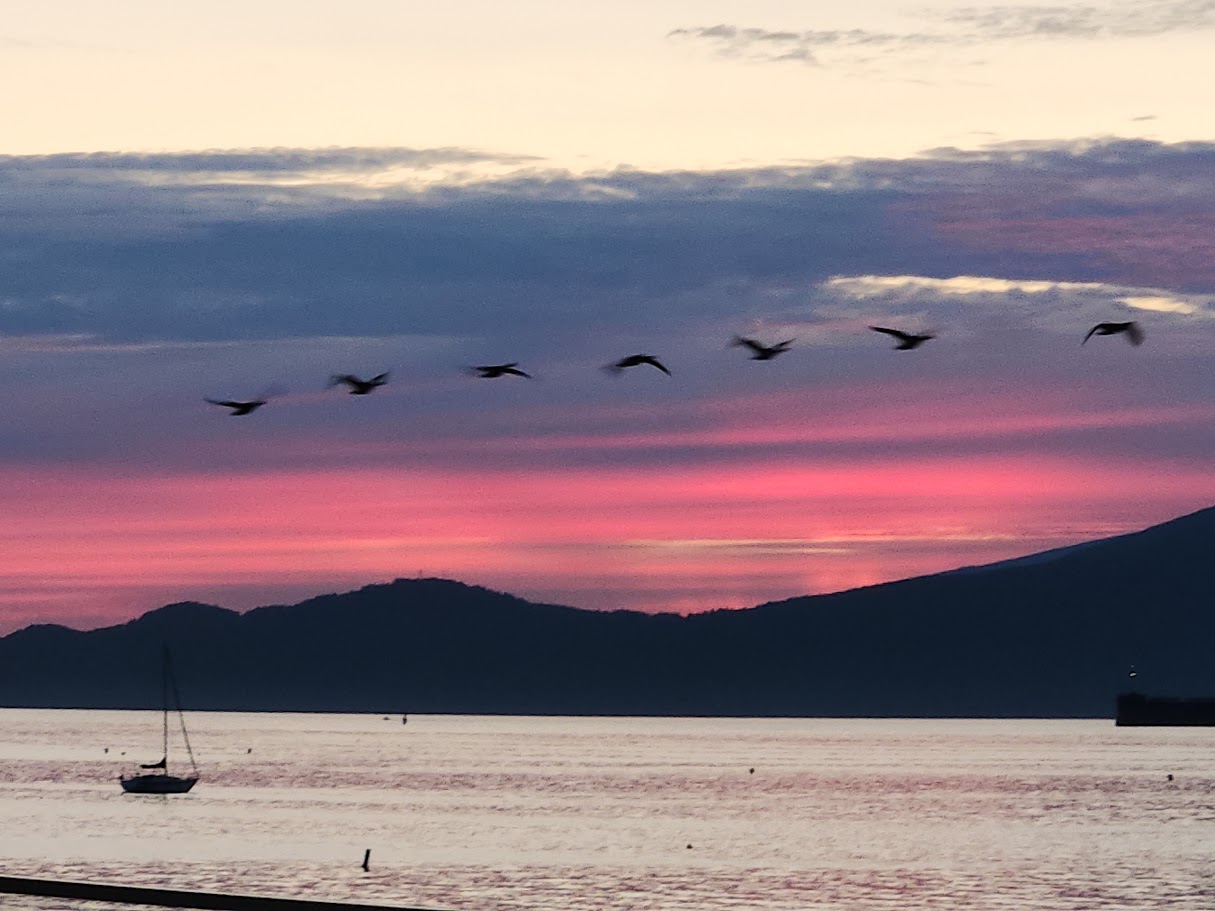 Relaxed romantic Vancouver sunset view
